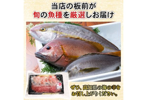ほんとに美味しい！室戸のお刺身　２～３種盛り合わせお楽しみセット（２～３人前）鮮魚 旬の魚 刺し身 高知県 板前厳選 室戸市 カツオ 金目鯛 鯵 はまち