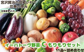 【定期便6ヶ月】イーハトーヴ野菜C もりもりセット 11品～ 詰め合わせ＜予約受付2026年4月より発送開始＞ 【1209】