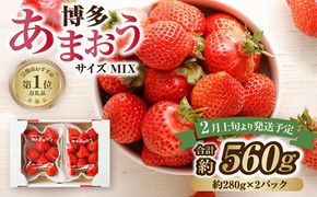 【アフター保証】 JAよりお届け！「博多あまおう」約280g×2パック【JAほたるの里】_HA1937