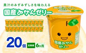 【6ヶ月定期便】愛知ヨーク　国産みかんゼリー　20個入［108A04-T］