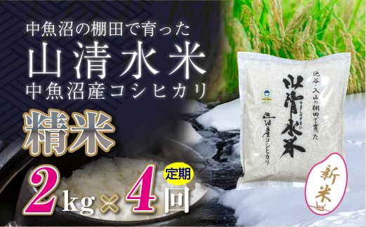 【令和8年産 新米】 【定期便／全4回】精米2kg 新潟県魚沼産コシヒカリ「山清水米」