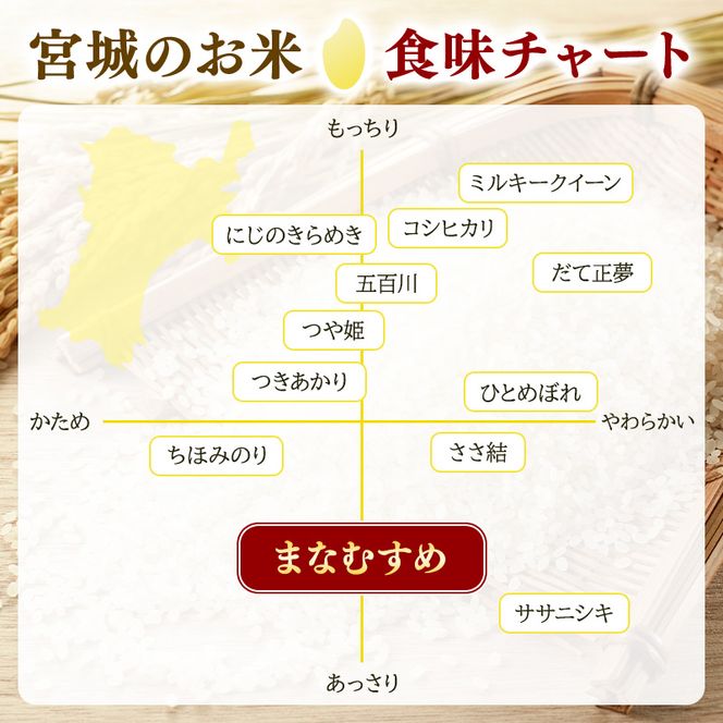 まなむすめ 5kg×1袋 令和8年産 新米 先行予約 宮城県産 米 精米 白米 米 コメ お米 おこめ ブランド米 ご飯 ごはん