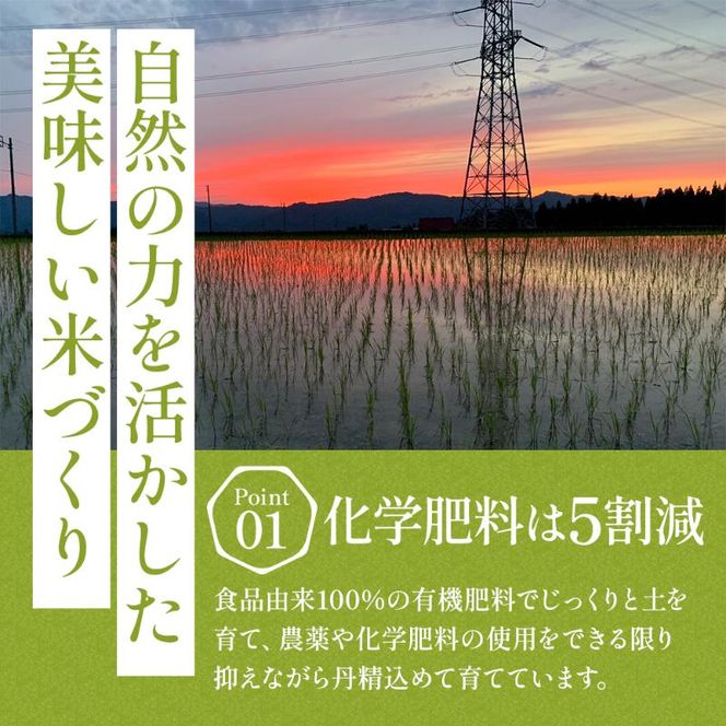 令和7年産魚沼産特別栽培米コシヒカリ［清津の恵］精米2kg（１kgx2袋）