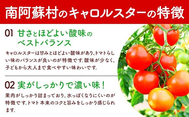 ミニトマト アイコ＆キャロルスター 選べる 種類 内容量 約2kg 約3kg ますだふぁーむ《7月上旬-11月末頃出荷》熊本県 南阿蘇村 アイコトマト キャロルスター 野菜 旬 夏野菜 トマト---sms_msf_af711_r7_11000_2kg---