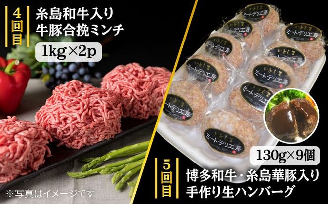【全7回定期便】ボリューム満点！ お肉 福岡 糸島産 牛肉 / 豚肉 / 鶏肉 《糸島》 【糸島ミートデリ工房】 [ACA086] 定期便 博多 華豚 地鶏 焼肉 BBQ すき焼き しゃぶしゃぶ 黒毛 和牛