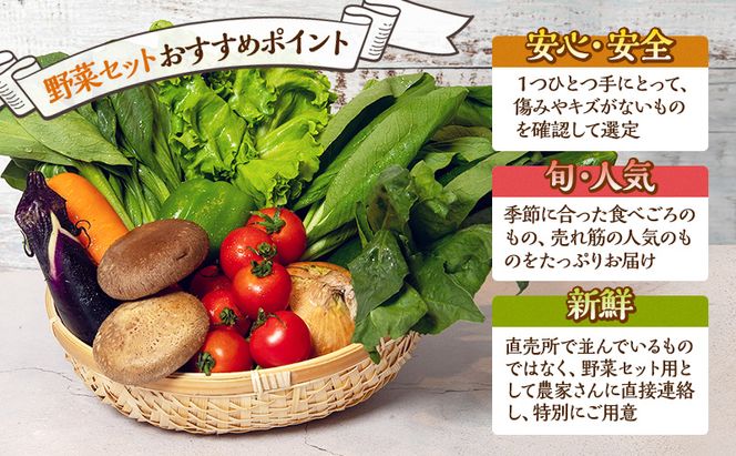 とれたて 野菜 パック 定期便 3回 季節の野菜 セット 詰め合わせ 8品前後 野菜セット 野菜詰め合わせ 3ヶ月 ジャガイモ 人参 大根 小松菜 白ネギ グリーンリーフ チンゲン菜 椎茸 トマト 水菜 葉ネギ 人気 厳選 静岡県