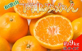 【産直・秀品】和歌山下津みかん 9kg（2Lサイズ）
