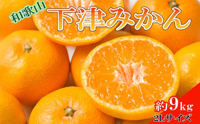 【産直・秀品】和歌山下津みかん 9kg（2Lサイズ）