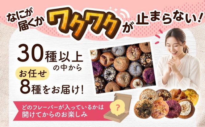 厳選おすすめ ベーグル 8個セット ベーグル詰め合わせ お取り寄せ 冷凍 パン セット 沖縄市 / ZEBRA.Bagel[BCAE002]