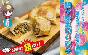 【関ケ原産ふわりもち使用】関ケ原裏切り餃子（白餃子50個の内激甘3個入り）