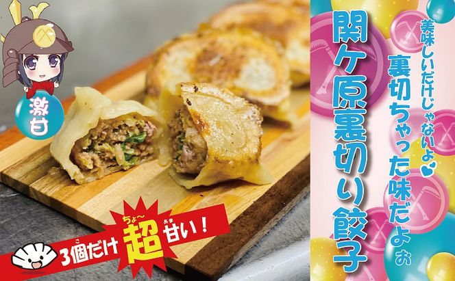 【関ケ原産ふわりもち使用】関ケ原裏切り餃子（白餃子50個の内激甘3個入り）