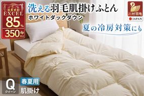 【春夏用】洗える羽毛布団 羽毛布団 クイーン 肌掛け 肌掛け布団 ダウン 夏 春 ホワイトダックダウン 85% 0.6kg 無地 アイボリー [川村羽毛 山梨県 韮崎市 20745577] 羽毛 布団 ふとん 羽毛ふとん 肌掛布団 寝具 夏用 春用 日本製 国産 柔軟加工 コインランドリー