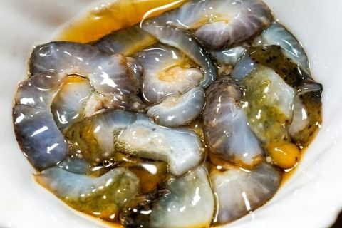 yQɕzys\zyʌzcCm̐i}R 1kgi3`4CjkCEknEEւ̔zsi2026N1{菇j IKTJ013