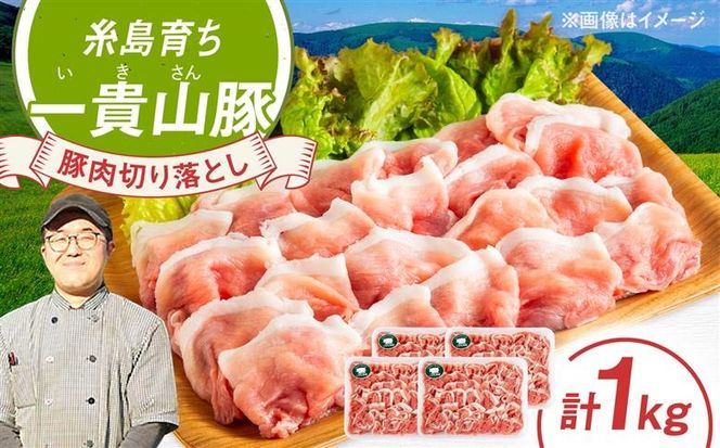 一貴山豚 切り落とし 計1kg(250g×4p) 糸島市 / いきさん牧場 豚肉 冷凍[AGB057] 豚肉 豚 ブランド豚 一貴山豚 ポーク 切り落とし 肉 250g