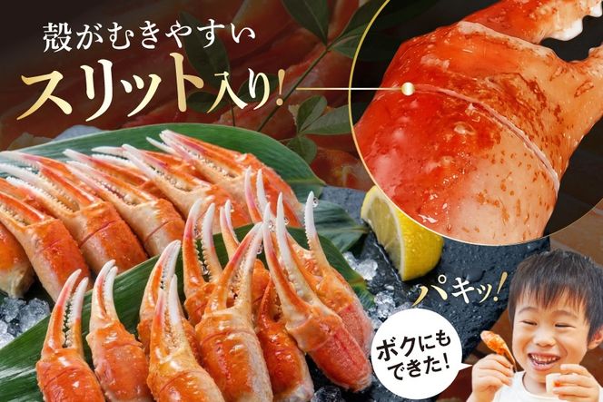 【CF02】リピーター続出！ 本ずわいがに爪 約700g [カネダイ 宮城県 気仙沼市 20564321_CF02] 蟹 かに カニ ずわいがに ズワイガニ ずわい蟹 ズワイ蟹 ずわい ズワイ 蟹 カニ爪 蟹爪 カニ爪肉 つめ 爪 ボイル