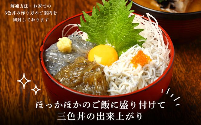 湘南しらす　3色セット｜魚介 湘南産しらす 食べ比べ 人気 おすすめ しらす 小魚 海産物 おつまみ 冷凍 食品 加工品 おすすめ 人気 送料無料 神奈川県 小田原市 142069_DV013
