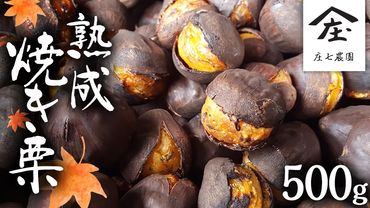 【 先行予約 】 庄七農園 限定 熟成 焼き栗 500g 【 10月から順次お届け 】 栗 くり 焼栗 おやつ スイーツ 茨城 和栗 美味しい 果物 フルーツ [BK05-NT]