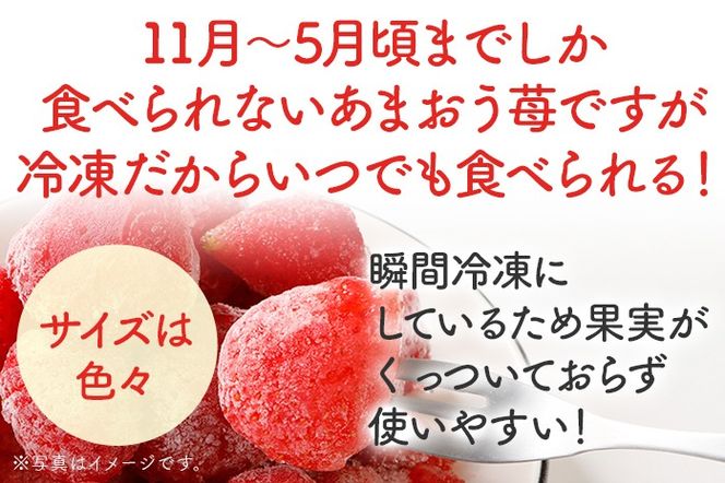 福岡県産【博多冷凍あまおう】 約1kg 産地直送 産直 朝採れ 朝採り 新鮮 瞬間冷凍 いちご イチゴ 苺 お取り寄せグルメ お取り寄せ 福岡 お土産 九州 福岡土産 取り寄せ グルメ 福岡県 ※北海道・沖縄・離島は配送不可