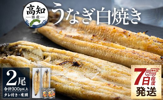 うなぎ白焼き 150～180ｇ×2尾 国産 鰻 冷凍 蒲焼きタレ付き 早い スピード発送 7日程度 早く届く スピード配送 高知県産 エコ包装 加工食品 加工品 惣菜 個包装 お手軽 おかず yw-0114