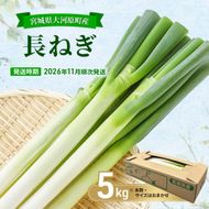 長ねぎ 約5kg 新鮮 野菜 ねぎ 葱 野菜 やさい 新鮮 鍋 薬味 焼きネギ 業務用 家庭用 宮城県 大河原町