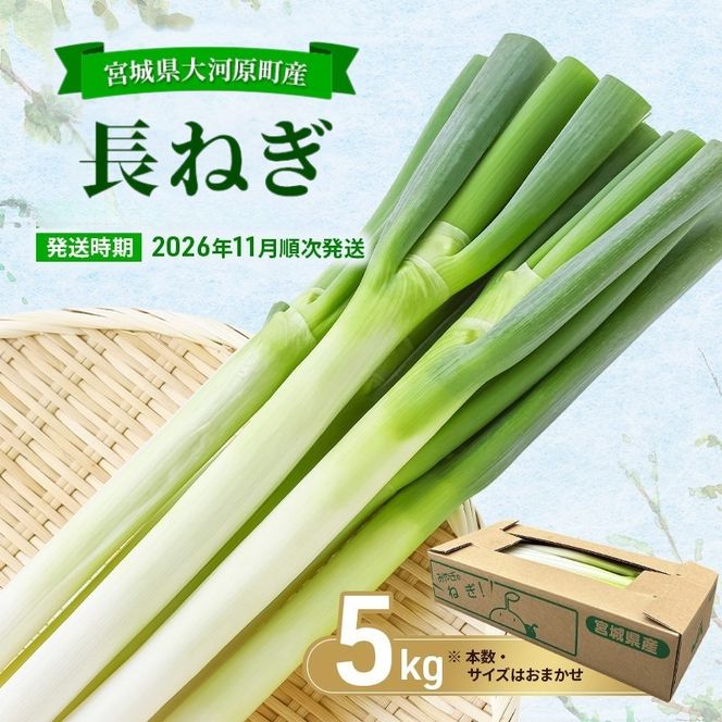 長ねぎ 約5kg 新鮮 野菜 ねぎ 葱 野菜 やさい 新鮮 鍋 薬味 焼きネギ 業務用 家庭用 宮城県 大河原町
