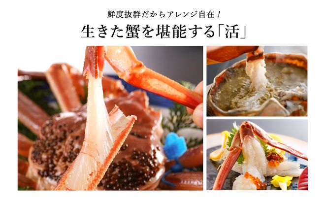 【kinosaki spa&gardens　湯楽使用】タグつき 活松葉ガニ　約800ｇ