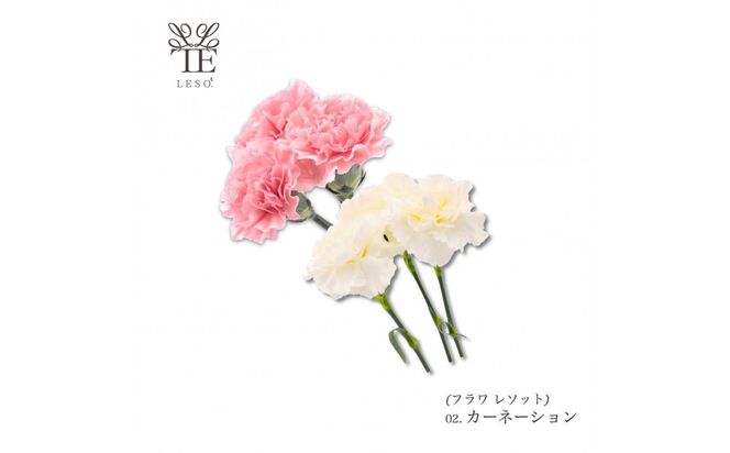 本物の花の香り リード・ディフューザー 【カーネーション】 【 リード ディフューザー 花 香り 仙台市 アロマ インテリア フレグランス デザイン 室内 癒し 自然 空間 プレゼント ギフト エッセンシャルオイル リラックス 】 041009_HW001VC04