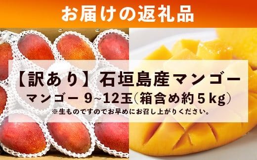 【先行予約】【訳あり】《2026年7月以降より順次発送》石垣島産 マンゴー (アーウィン種) 9～12玉(箱含め約5kg) 《樹齢30年の木で育ったマンゴー》｜産地直送 沖縄 石垣島 マンゴー アーウィン マンゴー フルーツ TP-3