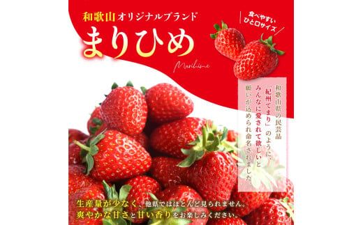【先行予約】まりひめイチゴ4パック 食べやすいひと口サイズ M～L（15粒～20粒入×4パック）【2027年1月中旬～3月下旬頃に順次発送】（お届け日指定不可）/ いちご 苺 まりひめ 和歌山 フルーツ【kgr034】