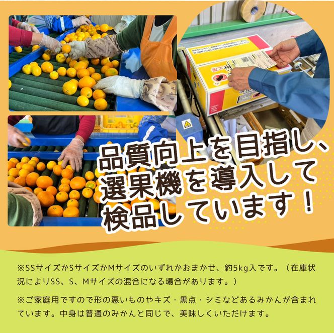【2026年先行予約】【ご家庭用】和歌山 有田みかん 約5kg (SS、S、Mサイズ)【湯浅町】_ZJ6081