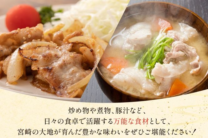 豚肉 宮崎県産 豚 小間切れ 200g 10P 計2kg [マルミヤストア 宮崎県 美郷町 31ag0143] 小分け 豚こま 豚コマ 細切れ