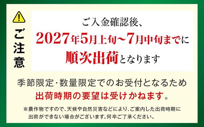 【2027年発送】【数量限定】宮崎県産 完熟マンゴー B等級 3Lサイズ×2玉（約900g）_kn056-017