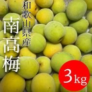 青梅 南高梅 3kg DJ071