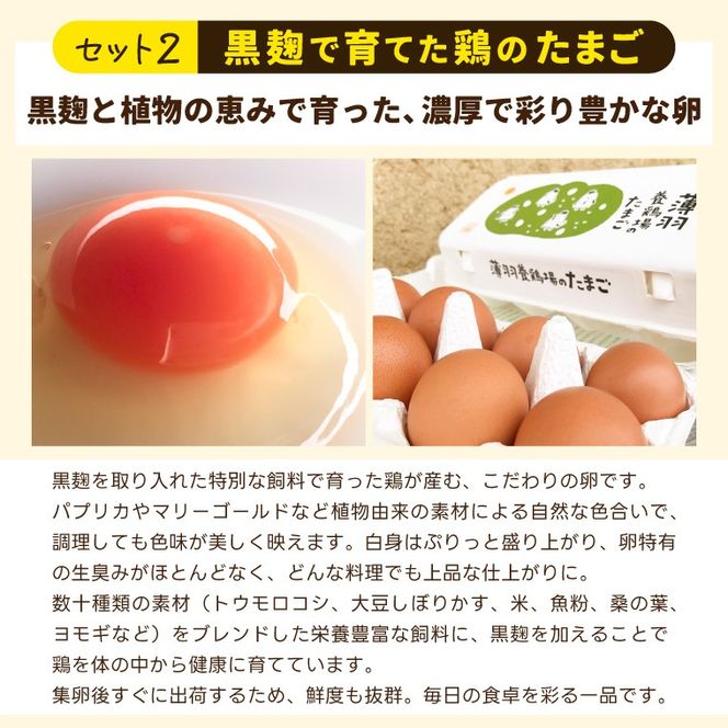 ＼薄羽養鶏場の濃厚たまごを使用／ たまごセット 濃厚たまご＆絶品加工品 6点セット｜栃木県 益子町 たまご 卵 タマゴ 平飼い 酵母平飼い 人気 濃厚 食べチョク カレー チキンカレー プリン とろたまぷりん フィナンシェ 焼き菓子 ディップソース (BC009)