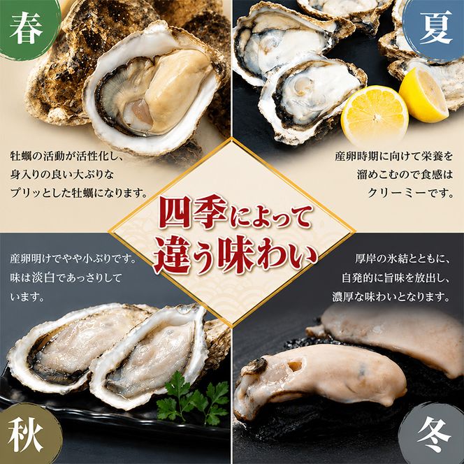 2月配送 訳あり ハーフ 規格外 牡蠣 北海道厚岸産 殻付カキ 約2kg（11～25個）カキナイフ付 生食 魚貝類 生牡蠣 かき 生カキ カキフライ マルえもん いびつな形 四季によって違う味わい コクがあり濃厚