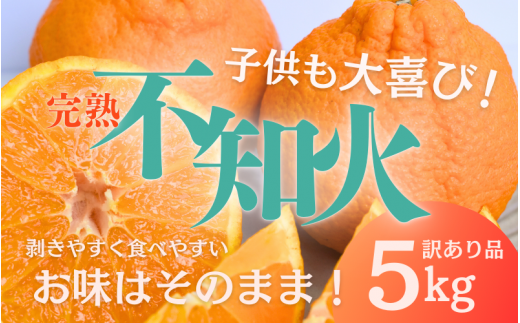 不知火 たにぐち農園の完熟不知火 ご家庭用 ちょこっと訳あり 5kg[2026年2月中旬から3月下旬までに順次発送] / くだもの フルーツ 果物 わけあり 訳あり 家庭用 ご家庭用 不知火 みかん 蜜柑 デコポン 人気[mtn010B]