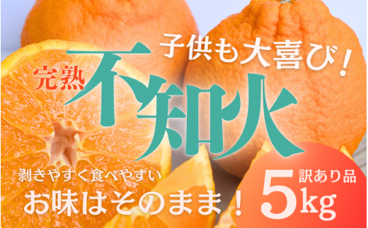 たにぐち農園の完熟不知火 ご家庭用 ちょこっと訳あり 5kg【2025年2月中旬から3月下旬までに順次発送】 / くだもの フルーツ 果物 わけあり 訳あり 家庭用 ご家庭用 不知火 みかん 蜜柑 デコポン【mtn010A】