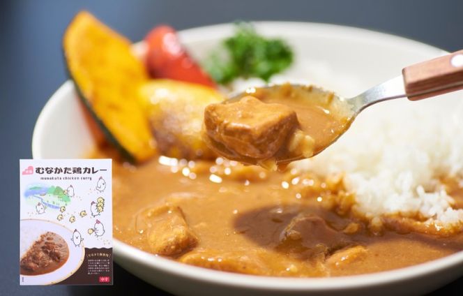 むなかた鶏カレーセット【道の駅むなかた】_HA1839