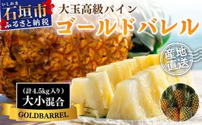 【先行予約】《2025年夏季 順次発送》石垣島産・ゴールドバレルパイン 高級パインですが「訳あり」の大小混合セット SI-7-1