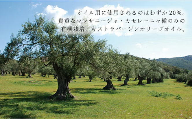 オリーブオイル 定期便 6ヶ月 有機栽培 エキストラバージン オリーブ オイル シングル 2本 セット 油 オリーブ油 食用油 調味料 詰め合わせ ギフト 贈り物 お楽しみ [№5735-0720]