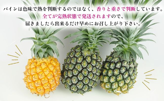 2025年発送【数量限定】ひとくちぼれ　金武町のすぐりむん（極上）パイン　6玉 パイナップル ぱいなっぷる パインアップル ぱいんあっぷる 沖縄県 国産 送料無料 ギフト グルメ 祝 贈答品 贈り物 プレゼント 女子会 土産 お取り寄せ フルーツ 果物 トロピカル 夏