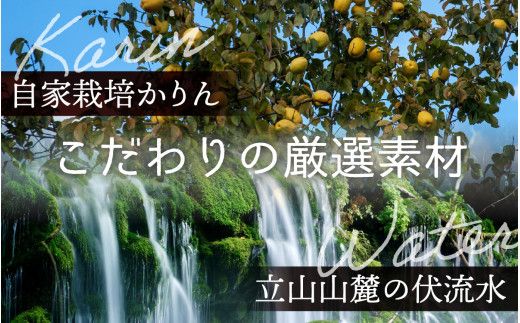 手造りかりん酒 720㎖×2本