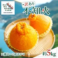 【先行予約】【訳あり】不知火 約5kg　※2027年2月下旬より順次発送予定 IKTAU016