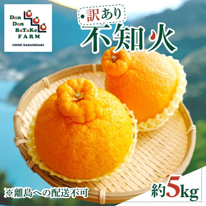 【先行予約】【訳あり】不知火 約5kg　※2027年2月下旬より順次発送予定 IKTAU016