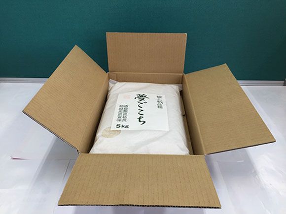 【7年産】近江米夢ごこち【5kg×1袋】【T034W3】