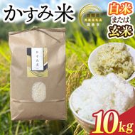 【2026年9月下旬より順次発送】★新米★R8年産 かすみ米 10kg(白米または玄米)【茨城県共通返礼品/潮来市】｜米 お米 新米 こめ かすみ米 10kg 白米 玄米 共通返礼品 茨城県共通返礼品 数量限定 先行予約 人気 送料無料(BI-89)