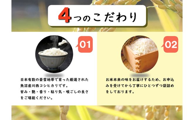 令和８年産米　先行予約　魚沼産川西こしひかり１kg×３個　＜令和8年10月下旬～発送予定＞