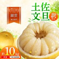 【先行予約】文旦 家庭用大玉 10キロ 10kg（3Lサイズ以上～：14玉前後）〈2027年1月20日～発送〉皮むき器付き 訳あり 文旦 ぶんたん ブンタン 柑橘 フルーツ 大玉【土佐水谷農園】 [BQBD009]