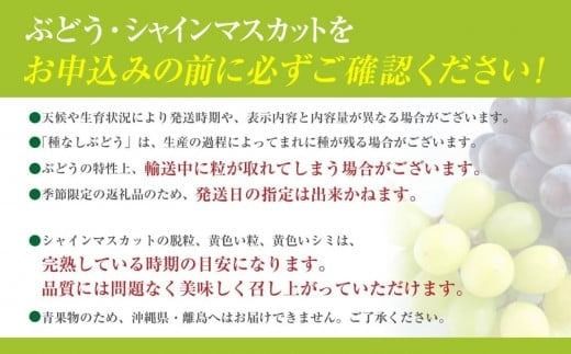 【2026年発送分 先行予約】シャインマスカット（３～４房） 1.6kg～1.7kg　シャイン マスカット ぶどう ブドウ 葡萄 フルーツ 果物 くだもの 山梨 やまなし 富士川町