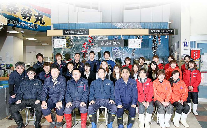 【とっても便利】 厚岸産 だし昆布 100g×5袋 (合計500g) 魚貝類 こんぶ 